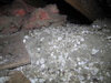 Inspection Gallery - Home Buyer’s Inspection Services Inc.
