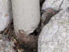 Inspection Gallery - Home Buyer’s Inspection Services Inc.